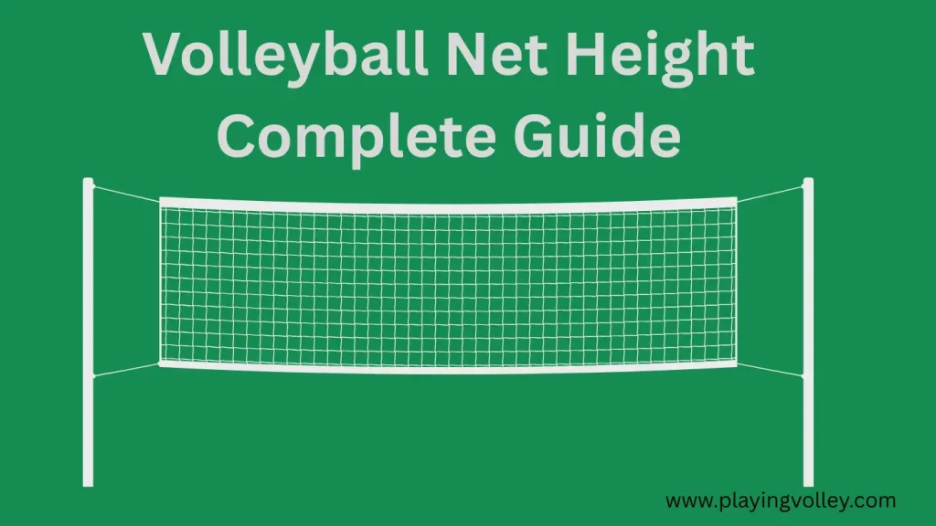 Volleyball Net Height Guide- main banner