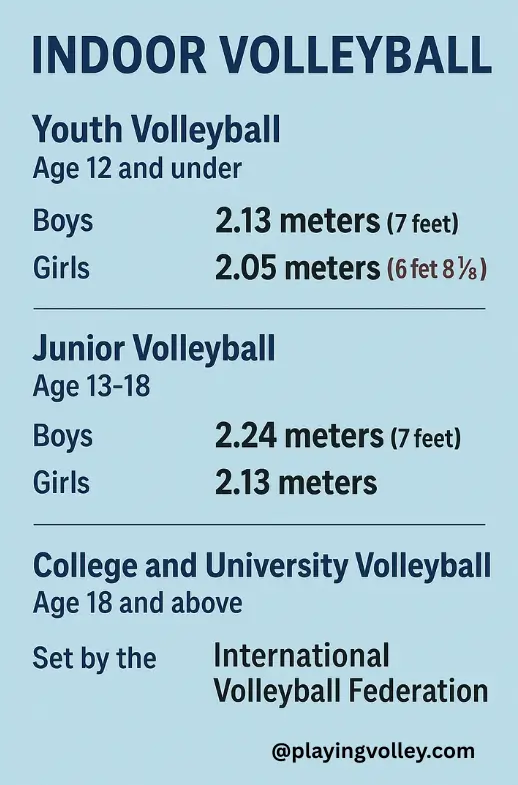 indoor volleyball height infographic
